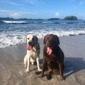 Meet your Posher, Charleen